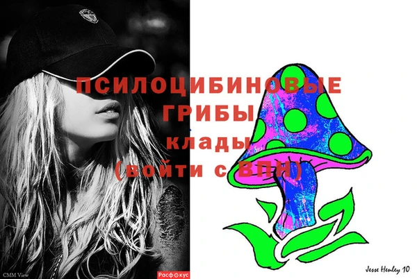 прущий лед Арсеньев