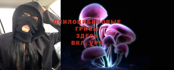трава Аркадак
