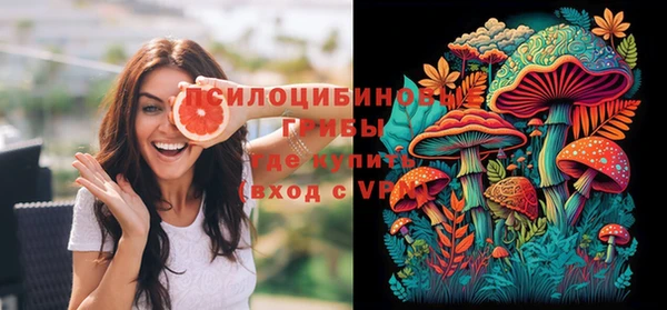 не бодяженный Лабытнанги