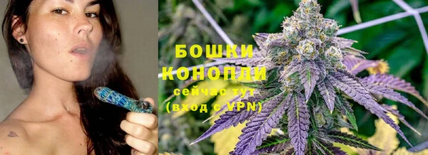 трава Аркадак