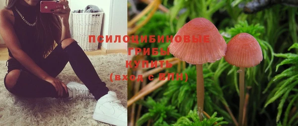 ГАЛЛЮЦИНОГЕННЫЕ ГРИБЫ Армянск